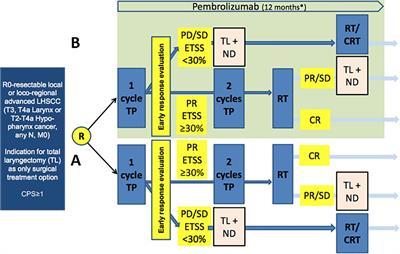 The European Larynx Organ Preservation Study [MK-3475-C44]